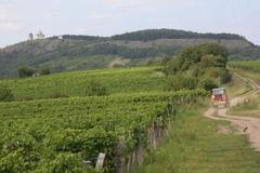 Hotaři, strážci vinic