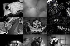 Week of Life - Šárka Lisníková - cover