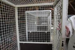 Psychiatrická léčebna Dobřany