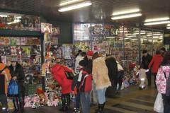 Vánoční nákupy 2010