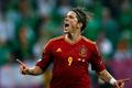 Fernando Torres slaví svůj druhý gól v utkání Španělska s Irskem ve skupině C na Euru 2012