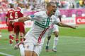 Pepe slaví gól v utkání Dánska s Portugalskem na Euru 2012