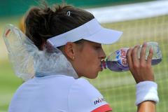 Wimbledon 2011: Petra Cetkovská