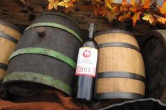 Svatomartinský košt 2011