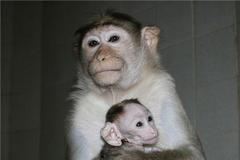 Novinky v českých ZOO