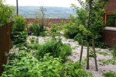 Zahrada roku 2011 _a