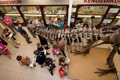 Muzejní noc na PřF UK