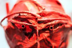 karel Nepraš v Doxu