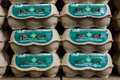 Eko-vejce v krabičkách