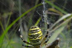 Příroda Křivoklátska