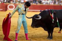 Obrazem: Ve Španělsku se konala série býčích zápasů