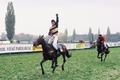 Velká pardubická 1998