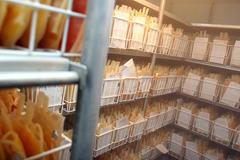 Odběry krve v Thomayerově nemocnici v Krči