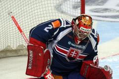 Příprava: Česko - Slovensko (Hamerlík)