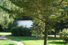 Tyršovy sady před kácením