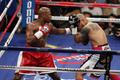 Box: Cotto - Mayweather jr.