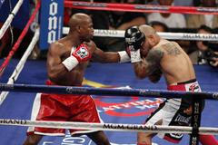 Box: Cotto - Mayweather jr.