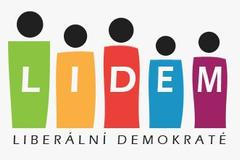 LIDEM logo