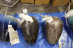 Austrálie: Terakotové hrnce ukrývaly přes půl tuny drog