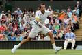 Radek Štěpánek v utkání proti Djokovičovi, Wimbledon 2012