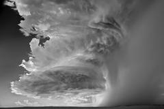 Sony World Photography Awards 2012 - Open Competition Category Winners