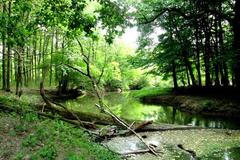 Moravská Amazonie u Lanžhotu