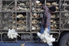 Nejlepší snímky měsíce května