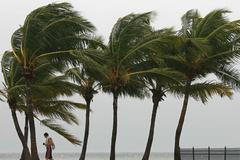 Isaac, tropická bouře, ohýbá palmy na Floridě