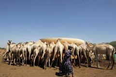 Nejkrásnější snímky Reuters 2. - 8. 2. 09