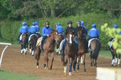 Dostihoví koně v Newmarketu