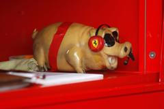 Kvalifikace na VC Německa: talisman Fernanda Alonsa