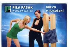 Sexistické prasátečko 2012_25