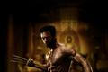 Wolverine 2