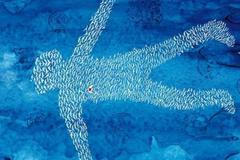 Poslední audience od Petra Síse