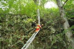 Zaklíněná houbařka