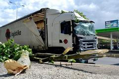 NEUŽÍVAT JAKO ILUSTRACI_Na kamion spadl strom