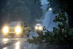 Bouře: Popadané stromy na silnici