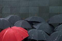 Déšť - Ilustrační foto-Thinkstock