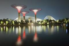 Obrazem: V Singapuru postavili pozoruhodné zahrady - ČTK