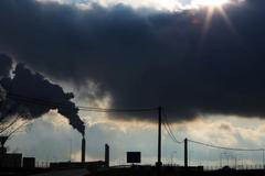 Zelená architektura