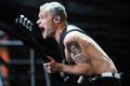 Flea