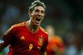 Finále Eura: Španělsko - Itálie (Fernando Torres se raduje ze třetí branky)