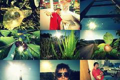 Week of Life - Miroslava Majkovič - 16.6.12 - cover