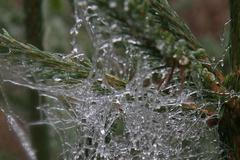 Zasněžený víkend na Šumavě