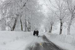 Sněhová bouře na Blízkém východě