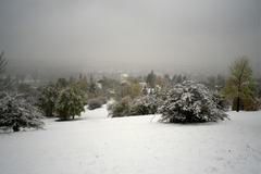 První sníh - Praha - Troja