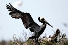 Nejlepší snímky měsíce dubna