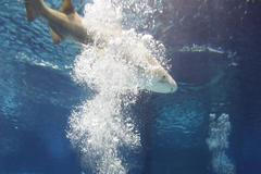 Španělsko silvestr