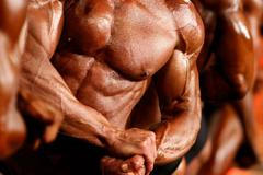 MS v kulturistice - Maďarsko