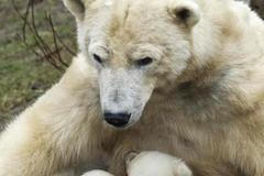 Neobvykle teplé jaro